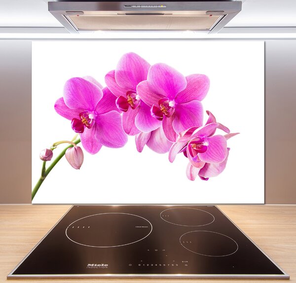 Panel do kuchyně Růžová orchidej pksh-67673367