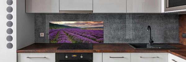 Dekorační panel sklo Pole levandule pksh-67657523