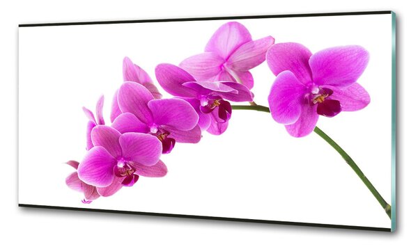 Panel do kuchyně Růžová orchidej pksh-67691978