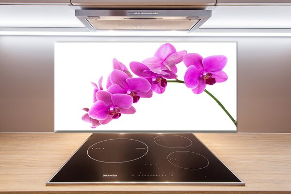 Panel do kuchyně Růžová orchidej pksh-67691978