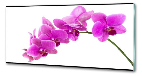 Panel do kuchyně Růžová orchidej pksh-67691978