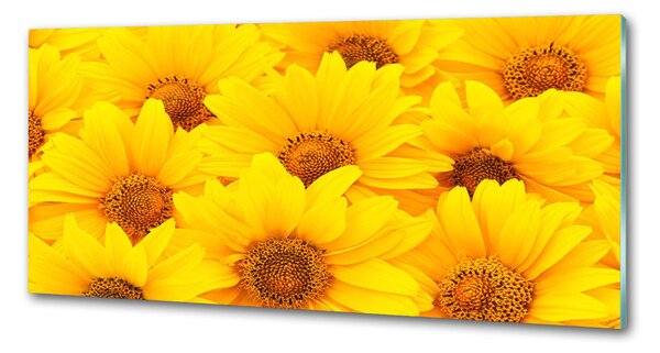 Dekorační panel sklo Slunečníky pksh-67862998