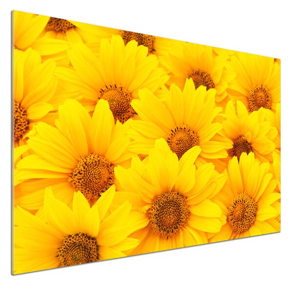 Dekorační panel sklo Slunečníky pksh-67862998