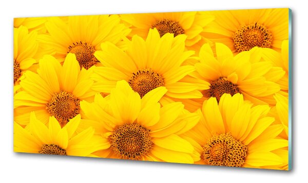 Dekorační panel sklo Slunečníky pksh-67862998