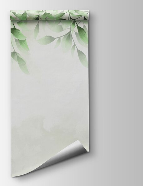 Fototapeta Zelené listy na bílém pozadí, 3D listové fototapety, Populární fototapety, w00772 - Tapeko.co.cz
