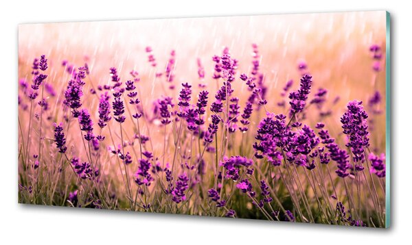 Skleněný panel do kuchyně Levandule pksh-67946318
