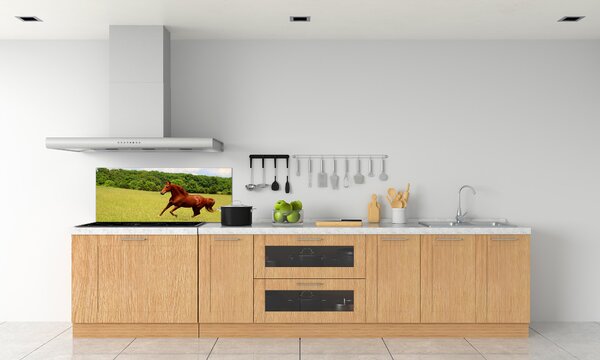 Dekorační panel sklo Kůň na louce pksh-68119926