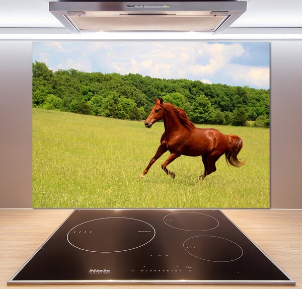 Dekorační panel sklo Kůň na louce pksh-68119926