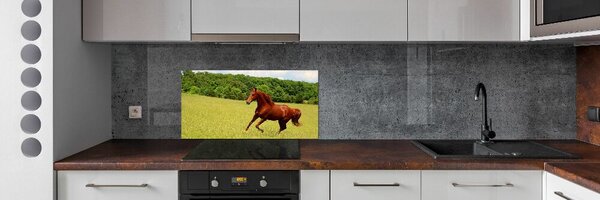 Dekorační panel sklo Kůň na louce pksh-68119926