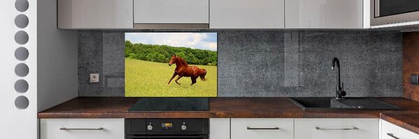 Dekorační panel sklo Kůň na louce pksh-68119926