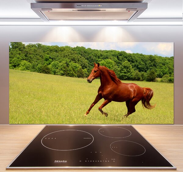 Dekorační panel sklo Kůň na louce pksh-68119926
