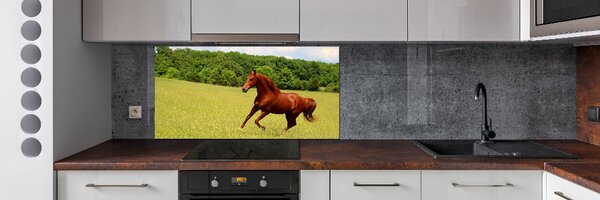 Dekorační panel sklo Kůň na louce pksh-68119926
