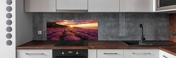 Dekorační panel sklo Pole levandule pksh-68209726