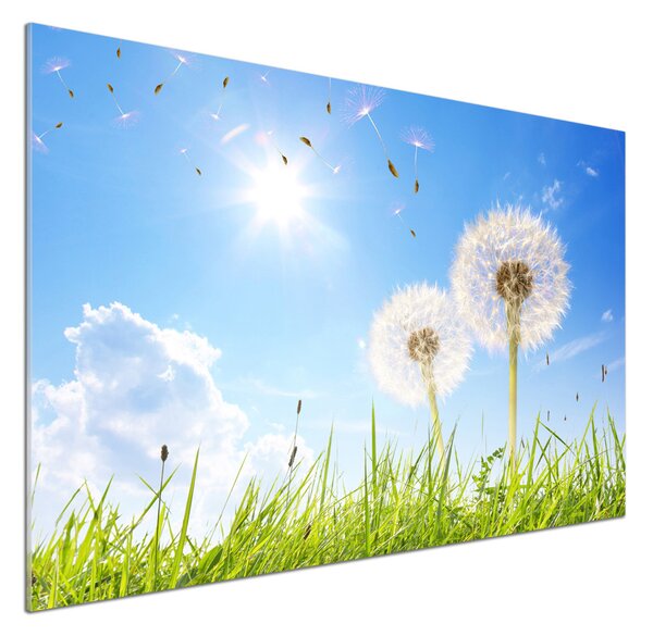 Skleněný panel do kuchynské linky Pampelišky pksh-68283962
