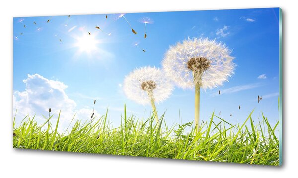 Skleněný panel do kuchynské linky Pampelišky pksh-68283962