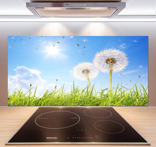 Skleněný panel do kuchynské linky Pampelišky pksh-68283962