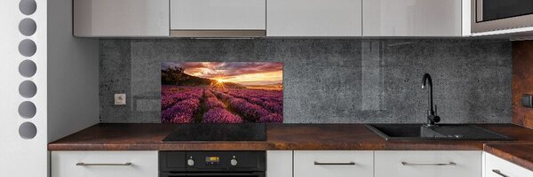 Dekorační panel sklo Pole levandule pksh-68209726