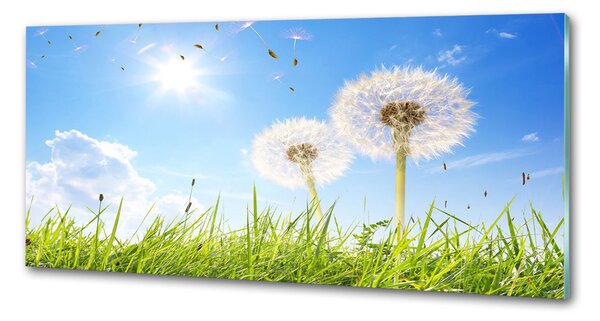 Skleněný panel do kuchynské linky Pampelišky pksh-68283962