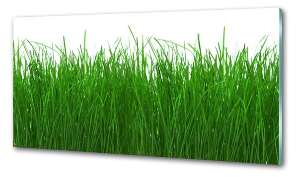 Skleněný panel do kuchyně Tráva pksh-68289877