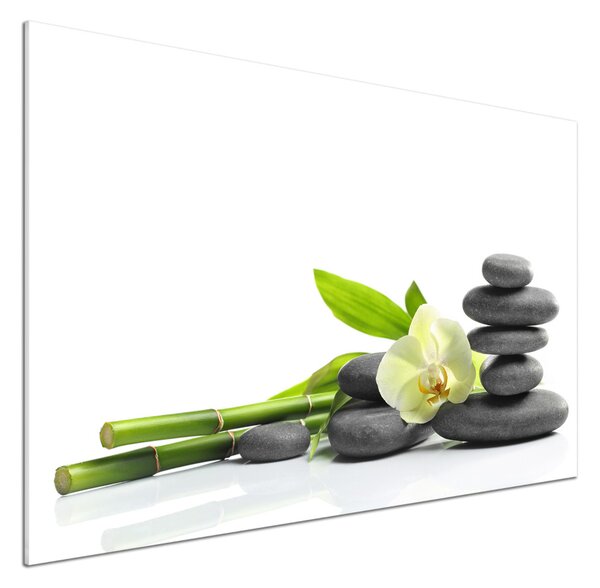 Skleněný panel do kuchynské linky Orchidej pksh-68592259
