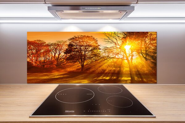 Panel do kuchyně Západ slunce pksh-68720414
