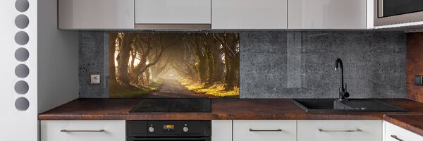 Dekorační panel sklo Mlha v lese pksh-68778372