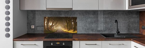 Dekorační panel sklo Mlha v lese pksh-68778372