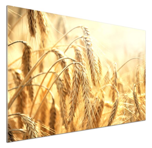 Skleněný panel do kuchyně Zboží pksh-68789601