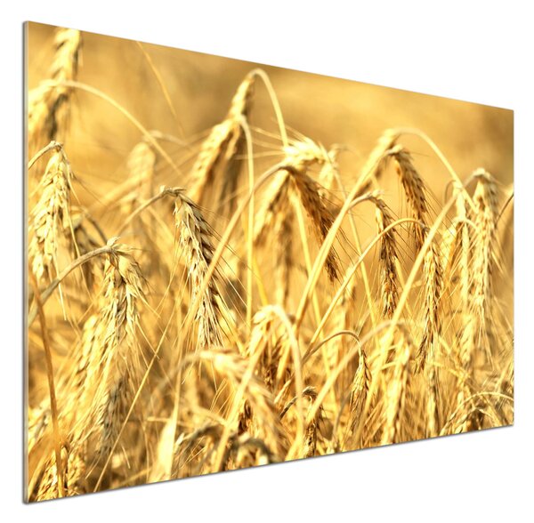 Skleněný panel do kuchyně Zboží pksh-68790370