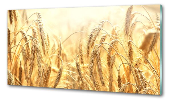 Skleněný panel do kuchyně Zboží pksh-68789601