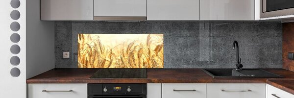 Skleněný panel do kuchyně Zboží pksh-68789601
