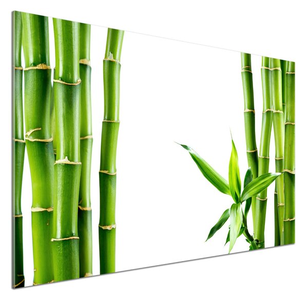 Skleněný panel do kuchyně Bambus pksh-68827460