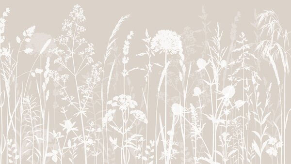Fototapety Minimalismus jemných polních rostlin a květin, Fototapety příroda, w01270 : uwalls.cz