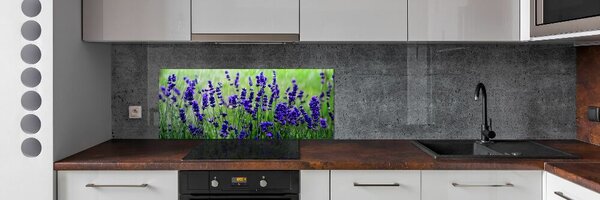 Skleněný panel do kuchyně Levandule pksh-68986983