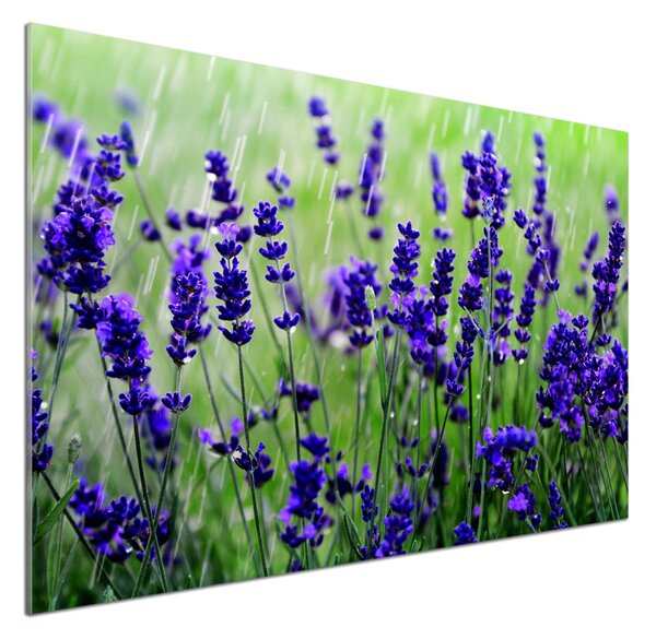 Skleněný panel do kuchyně Levandule pksh-68986983