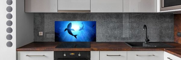 Dekorační panel sklo Dva žraloci pksh-69178156