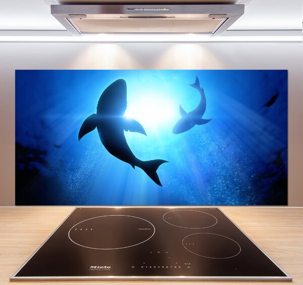 Dekorační panel sklo Dva žraloci pksh-69178156