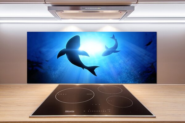 Dekorační panel sklo Dva žraloci pksh-69178156