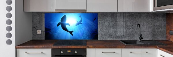 Dekorační panel sklo Dva žraloci pksh-69178156
