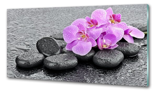 Panel do kuchyně Orchidej kamení pksh-69189175