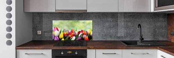 Panel do kuchyně Barevné tulipány pksh-69344290
