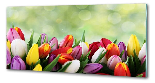 Panel do kuchyně Barevné tulipány pksh-69344290