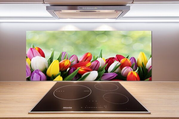 Panel do kuchyně Barevné tulipány pksh-69344290