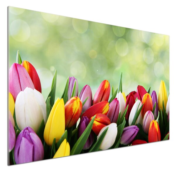 Panel do kuchyně Barevné tulipány pksh-69344290