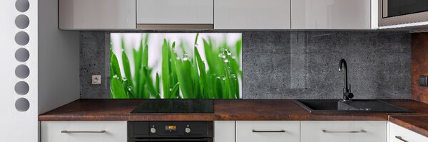 Dekorační panel sklo Stébla trávy pksh-69404091