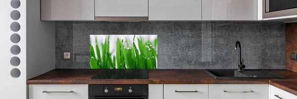 Dekorační panel sklo Stébla trávy pksh-69404091