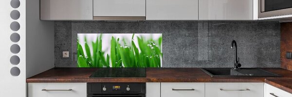 Dekorační panel sklo Stébla trávy pksh-69404091