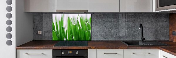 Dekorační panel sklo Stébla trávy pksh-69404091