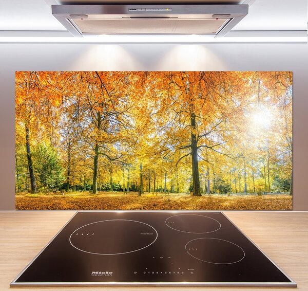 Dekorační panel sklo Podzimní les pksh-70578437