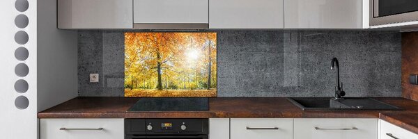Dekorační panel sklo Podzimní les pksh-70578437